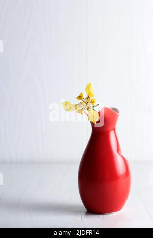 Iris pseudacorus on Red Vase, Copy Space for Text Stock Photo