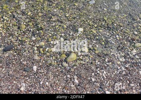 Top view of of smooth round sea beach pebbles texture background. Pebble stones surface. Summer time and seashore concept Stock Photo