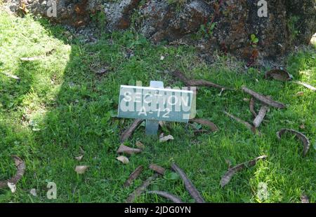 Cathedral City, California, USA 11th June 2022 A general view of atmosphere of Melvyn Haber's Grave at Desert Memorial Park on June 11, 2022 in Cathedral City, California, USA. Photo by Barry King/Alamy Stock Photo Stock Photo