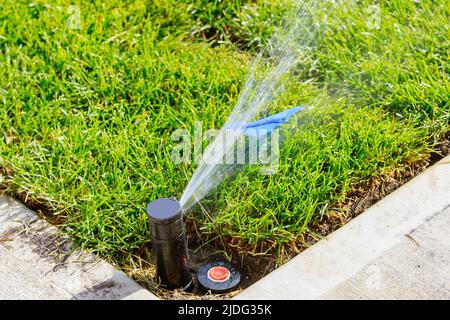Garden automatic Irrigation system spray watering lawn