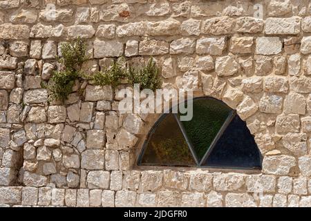 plants grow in cracks in an ancient limestone wall in Safed Tsfat in Israel next to a half circle window with colored glass triangles Stock Photo