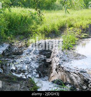 A country road in mud, slush and water after rain. Mud on the forest road Stock Photo