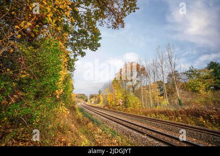 Railroad going through an autumn colored landscape with colorful trees in the fall Stock Photo