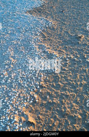 Sand and cockle shells at sunset on Southerness Beach, Dumfries and Galloway, Scotland Stock Photo