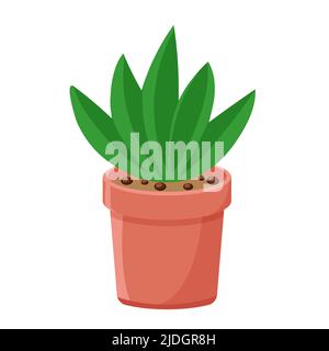Aloe in pot isolated vector Stock Vector