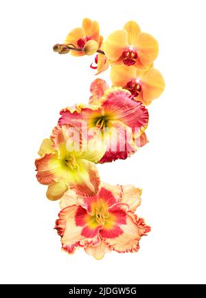 Nice abstract composition made from set of various flowers Stock Photo