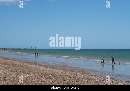 Littlempton, West Sussex, UK. Two couples walk dogs along the deserted West beach. Shows offshore wind turbines on the horizon. Stock Photo