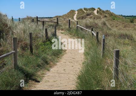Littlempton, West Sussex, UK. A boarded footpath runs through the sand dunes behind West beach. Stock Photo