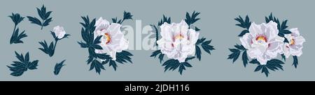 Peony flowers and leaves. Stock Vector