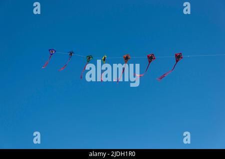 Flying kites Stock Photo