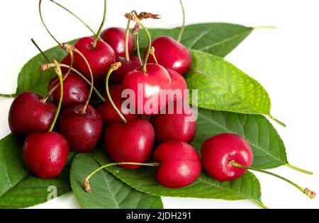 Close up photo of sour cherry on isolated white background. Stock Photo