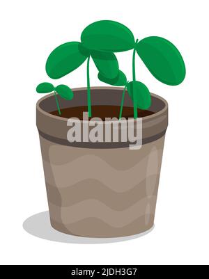 Young sprouts in ceramic pot. Gardening and growing fruits and vegetables on farm. Cartoon vector isolated on white background Stock Vector