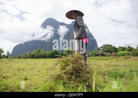 (220621) -- VIENTIANE, June 21, 2022 (Xinhua) -- A villager works in a paddy field in Muang Fueng, a rising tourist town some 100 km north of Lao capital Vientiane, June 18, 2022. (Photo by Kaikeo Saiyasane/Xinhua) Stock Photo