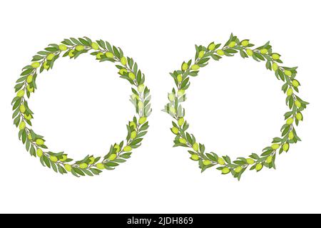 Wreath green olives hand drawn doodle round frame with branches leaves and green berry. Vector illustration Stock Vector