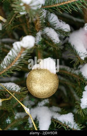 Christmas toys golden ball on the Christmas tree. Snow on a branch. Street decoration in winter. Winter background. Stock Photo