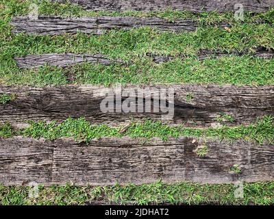 Top view, old decay plank wood in garden, rough skin texture background. Stock Photo