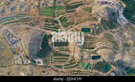 Green mountainous fields and roads in semi-desert, Mount Lebanon - Faraya, Middle East Stock Photo