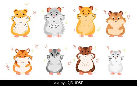 Hamster breeds. Cute little pets, different types, home rodents, funny fluffy animals various sizes and colors, cartoon flat style comic characters Stock Vector