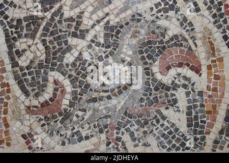 Dove - mosaic detail from Church of Virgin Mary, Madaba 6th Century Stock Photo