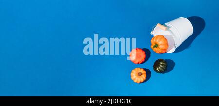 White bucket with spilled colorful autumn pumpkins against blue background. Creative Halloween or Thanksgiving idea concept. Minimal seasonal concept. Stock Photo