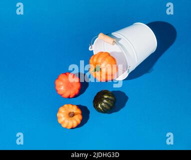White bucket with spilled colorful autumn pumpkins against blue background. Creative Halloween or Thanksgiving idea concept. Minimal seasonal concept. Stock Photo