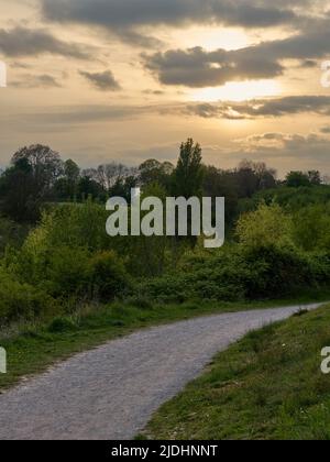 A path through woodland and the intricate detail of plants, tree branches and twigs, heading towards a vibrant sunset, sun-behind-clouds sky. Stock Photo