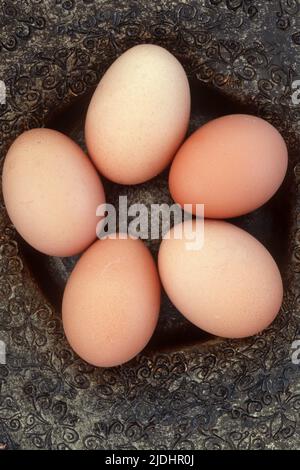Five pale brown eggs lying in patterned gold and brown dish Stock Photo