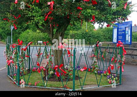 Appleton Thorn Bawming of the Thorn in the village, next to St Cross parish church. Ribbons tied to the tree & surrounding fence, Warrington, WA4 4RT Stock Photo
