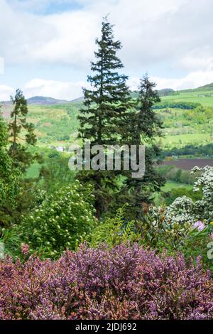 Scenic landscape view near Aberfeldy, in Highland Perthshire, Scotland UK. Photographed from the garden on the Bolfracks Estate. Stock Photo