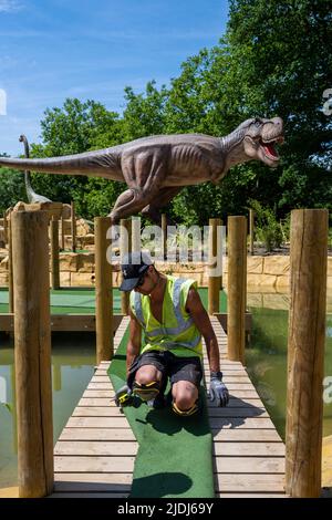 London, UK.  21 June 2022.  Finishing touches are made to Jurassic Island, a dinosaur-themed crazy golf course, being constructed in Harrow. Life-sized dinosaurs are interspersed amongst the holes on the golf course which opens to the public on 2 July.  Credit: Stephen Chung / Alamy Live News Stock Photo