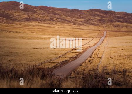 Empty dirt road across an arid steppe near Tupungato, province of Mendoza, Argentina. Stock Photo