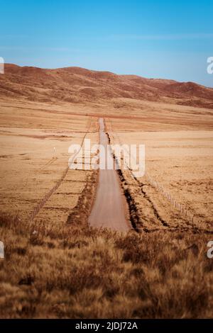 Empty dirt road across an arid steppe near Tupungato, province of Mendoza, Argentina. Stock Photo