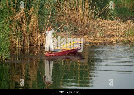 A lone Nile fisherman holding long stick standing in brightly painted wooden fishing boat in a small creek with gently rippling water and reflections Stock Photo