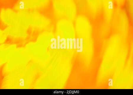 Yellow colorful abstract bokeh background. Bokeh shimmering blur lights on yellow abstract background. Stock Photo