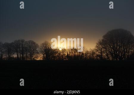 the winter sun setting in the fog behind a row of trees Stock Photo