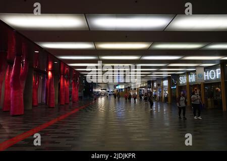 pink trees, Palais des Congres, Underground City, Montreal, Quebec province, Canada, North America Stock Photo