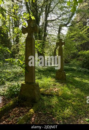 Celtic cross in yard of Parish Church of St Andrew at Bothal in Northumberland, UK Stock Photo