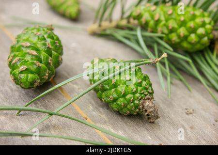 Fresh green pine cones are lying on an old table in the garden Stock Photo