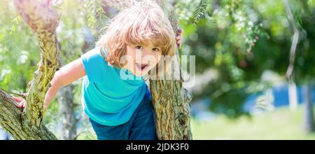 Happy energetic boy kid climb tree summer outdoors, tree climbing. Horizontal poster design. Web banner header, copy space. Stock Photo