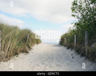 Beautiful pathway to the beach on a slightly cloudy spring day, Baltic Sea, Germany Stock Photo