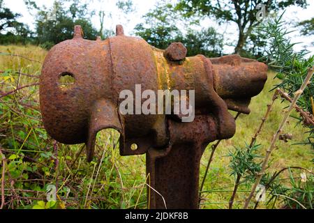 detail of a piece of rusty and discarded farm machinery laying in a field with trees in the background Stock Photo
