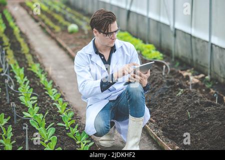 bio scientist work collecting plant grow condition data in the agriculture farm in table computer Stock Photo