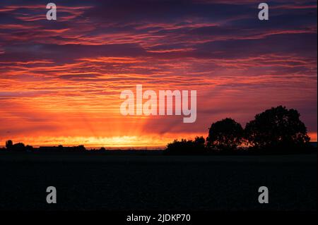 Spectacular yellow, orange and purple colors, sunbeams and texture in the clouds during sunset Stock Photo