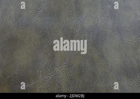 Background image - embossed texture of gray-green leather. Stock Photo