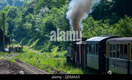 Viseu de Sus, Maramures, Romania - June 13, 2022: Steam train Mocanita. Stock Photo