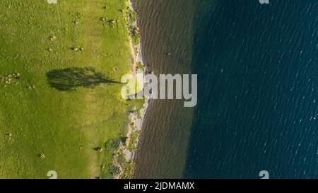 A tree on the shore of Crummock Water cast a shadow Lake District in the UK Stock Photo