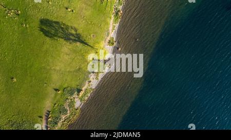 A tree on the shore of Crummock Water cast a shadow Lake District in the UK Stock Photo