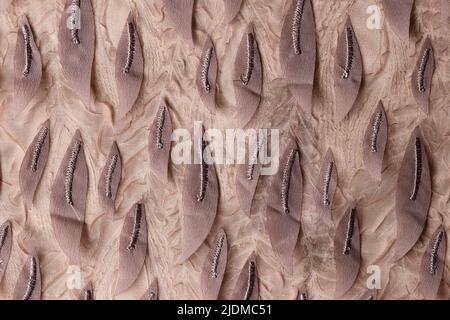 Fashion cloth decorated with fabric leaves texture background Stock Photo
