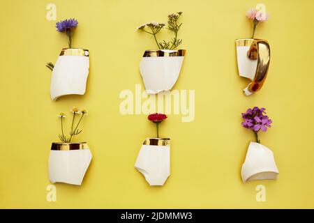 Creative aesthetic broken cup's pieces with wildflowers, miniature flower pots. Creative conceptual home decorations idea. House plants, growth, hope, cozy home concept. Plant aesthetic Stock Photo