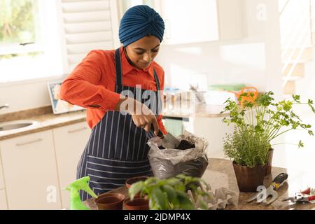 Biracial young woman in hijab with soil in plastic bag at table Stock Photo